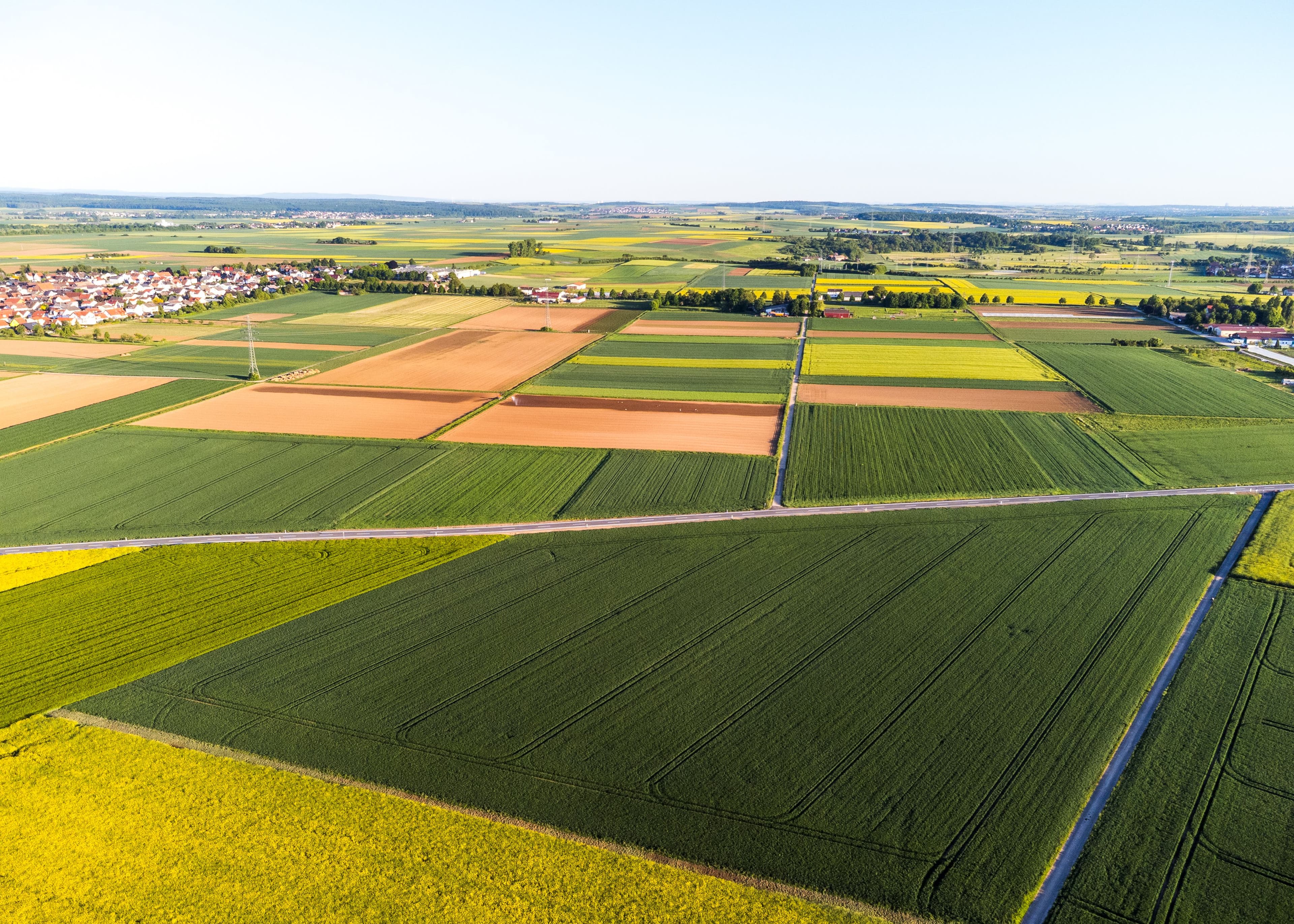 Agriculture photo